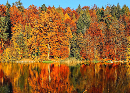 November Colours Comes With Gifts at Tappa Hair Salon